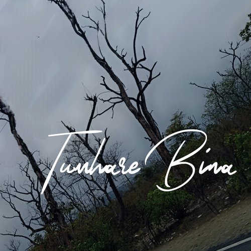 Tumhare Bina