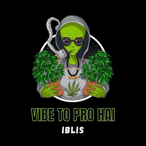 Vibe To Pro Hai