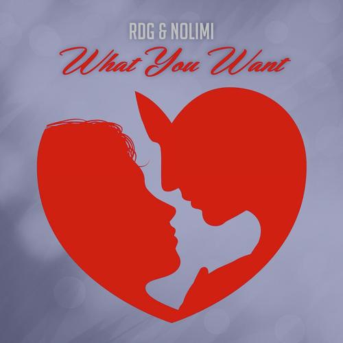 What You Want (feat. Nolimi)