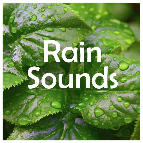 White Noise City Rain cover art