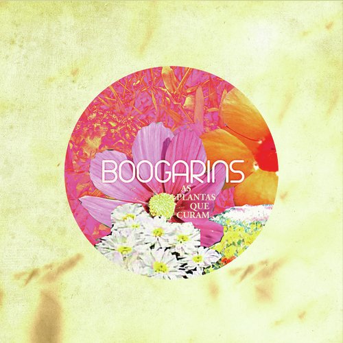 As Plantas Que Curam