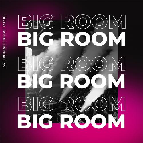 Big Room 2020, Vol.2_poster_image