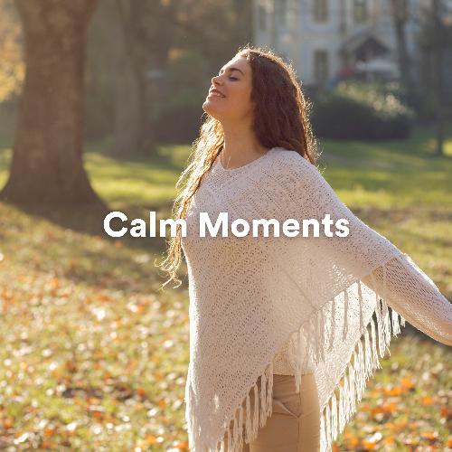 Calm Moments_poster_image