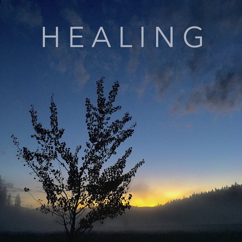 Healing_poster_image