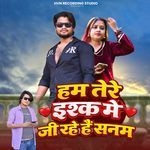 Hum Tere Ishq Me Jee Rahe Hai Sanam