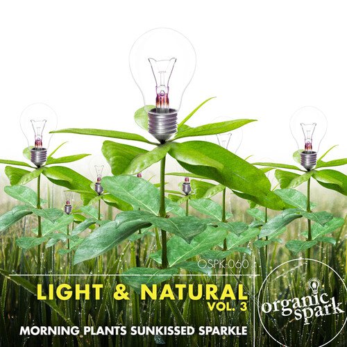 This Organic Lifestyle cover art