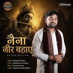 Naina Neer Bahaye