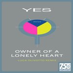 Owner of a Lonely Heart (Luca Olivotto Remix) (Luca Olivotto Remix)