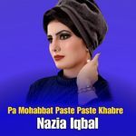 Pa Mohabbat Paste Paste Khabre