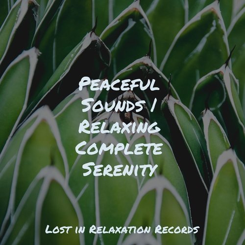 Peaceful Sounds | Relaxing Complete Serenity