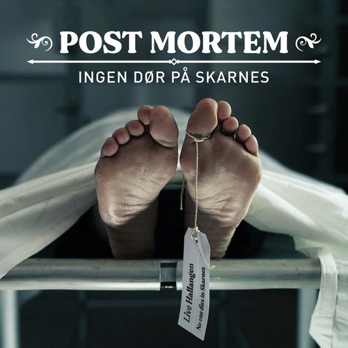 Gravøl cover art