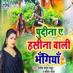 Pudina A Hasina Wali Bhangiya