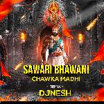 Sawari Bhawani Chawka Madhi (Remix)