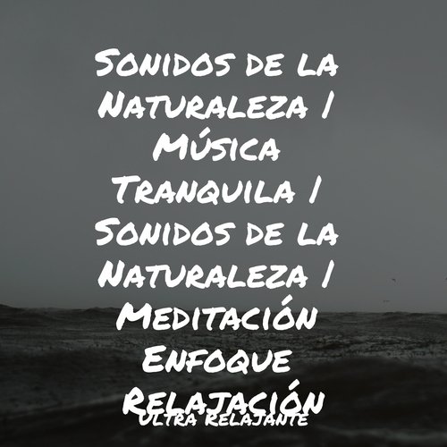 Sonidos de la Naturaleza | Música Tranquila | Sonidos de la Naturaleza | Meditación Enfoque Relajación_poster_image