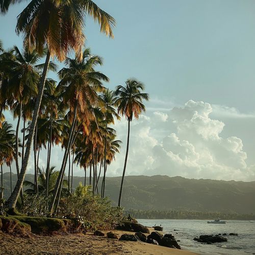 Sunset on Repeat (Drips Zacheer Remix) cover art