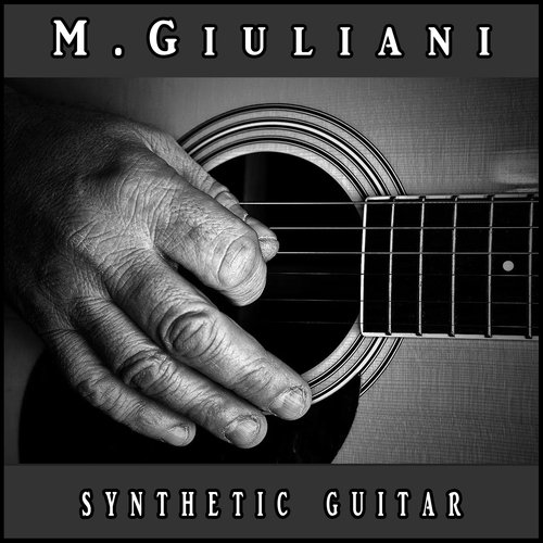 Synthetic Guitar (Electronic Version)