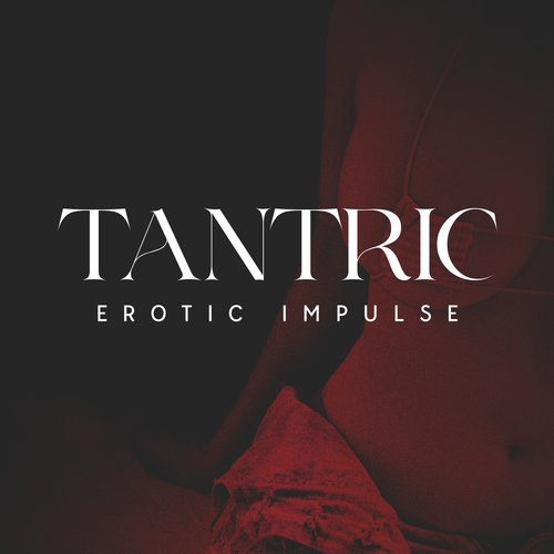 Tantric Erotic Impulse: Couple Evening Pleasures, Wild Love_poster_image