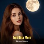 Teri Bina Mein