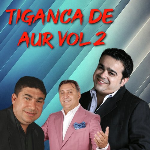 Tiganca de aur, Vol. 2