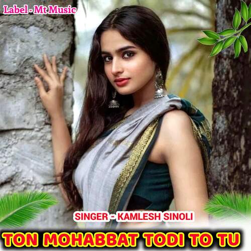 Ton Mohabbat Todi To Tu