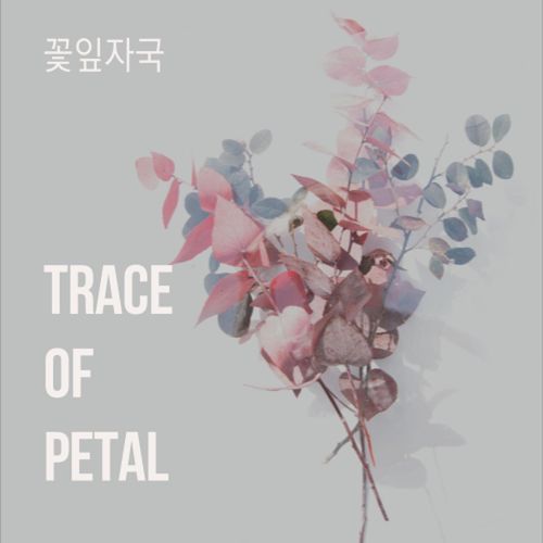 Trace of Petal