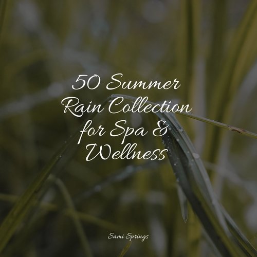 50 Summer Rain Collection for Spa &amp; Wellness_poster_image