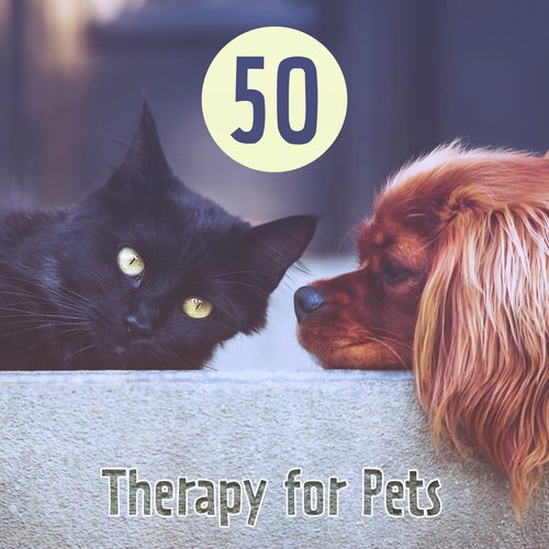 50 Therapy for Pets, Zen Secrets to Happiness, Wellness, Beautiful Aromatherapy, Stress Relieving
