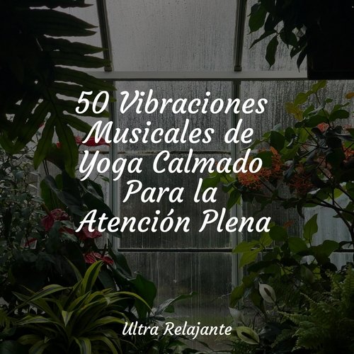 50 Vibraciones Musicales de Yoga Calmado Para la Atención Plena