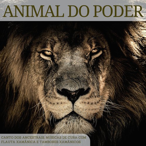 Músicas de Cura com Flauta Xamânica cover art