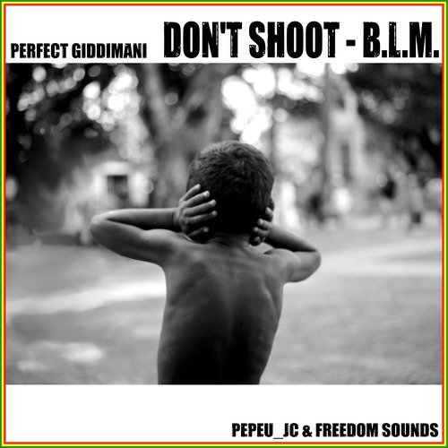 DON&#039;T SHOOT - B.L.M._poster_image