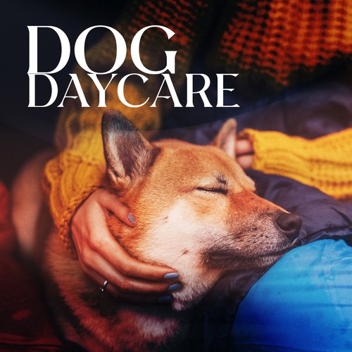 Pet Care Club cover art