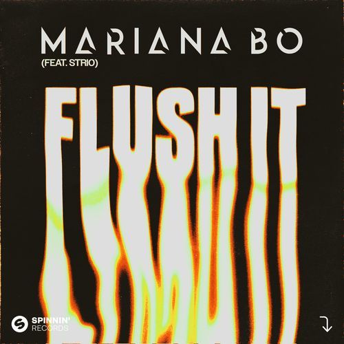 Flush It (feat. STRIO) (Extended Mix)_poster_image