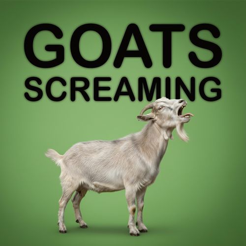 In the Hall of the Mountain King but it's Screaming Goats cover art
