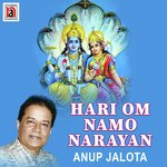 Hari Om Namo Narayan