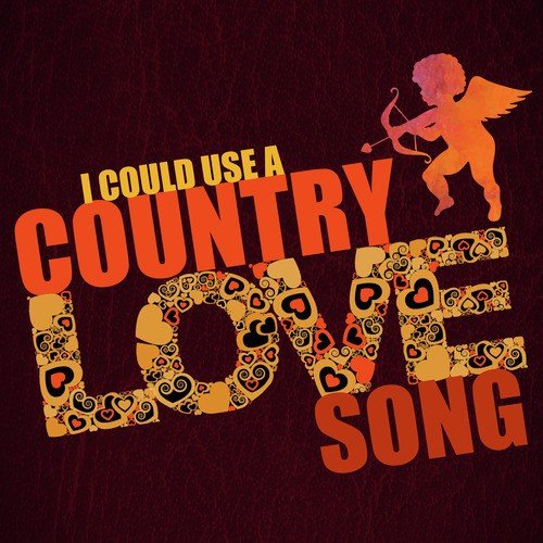 I Could Use a Country Love Song