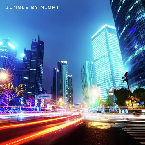 Jungle by Night