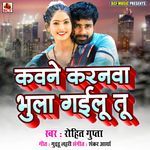 Kawane Karanwa Bhula Gailu Tu