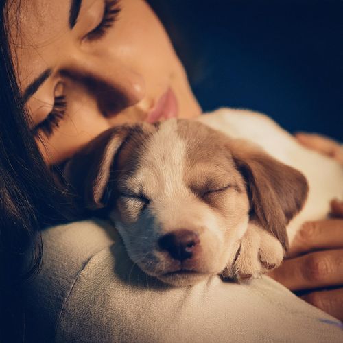 Noche Serena Para Perros cover art