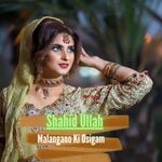 Wirsa Da Zara Mi Delate Karali Ghadar Yi