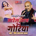Marelu Jaan Goriya