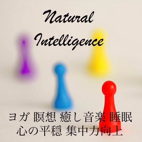 Natural Intelligence - ヨガ 瞑想 癒し音楽 睡眠 心の平穏 集中力向上_poster_image