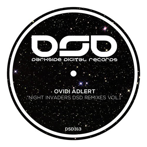 Night Invaders (Josh DaFunk Remix) cover art