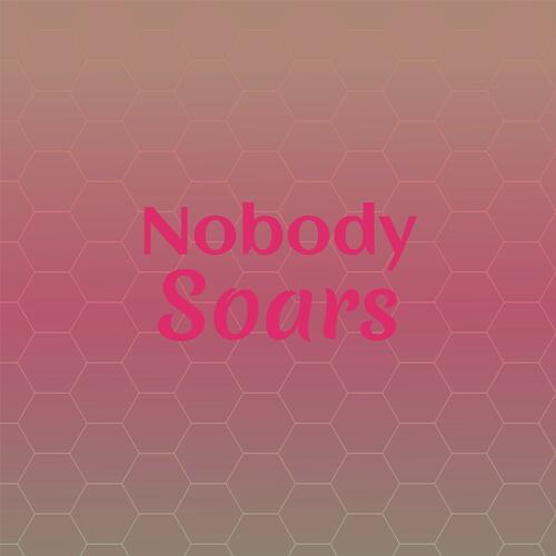 Nobody Soars cover art