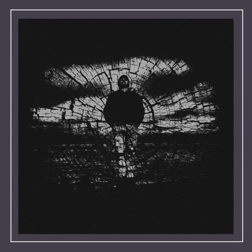 None the Wiser cover art