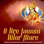 O Hre Jawani Hilor Mare