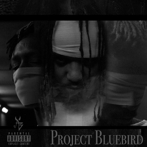 Toxic Influence cover art