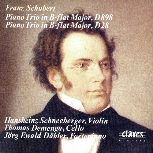 Schubert: Piano Trios D. 898 &amp; D. 28_poster_image