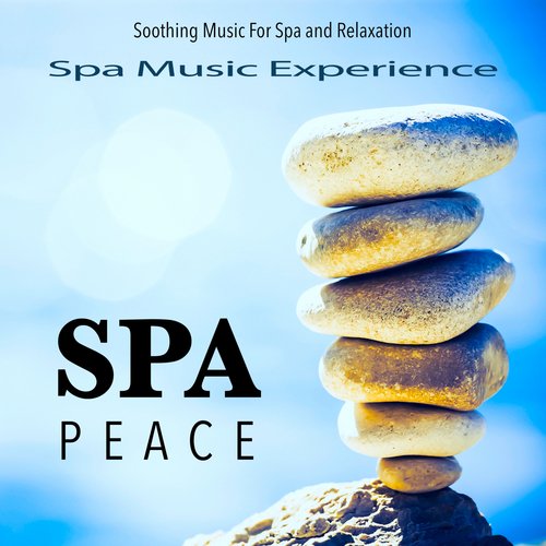 Day Spa cover art