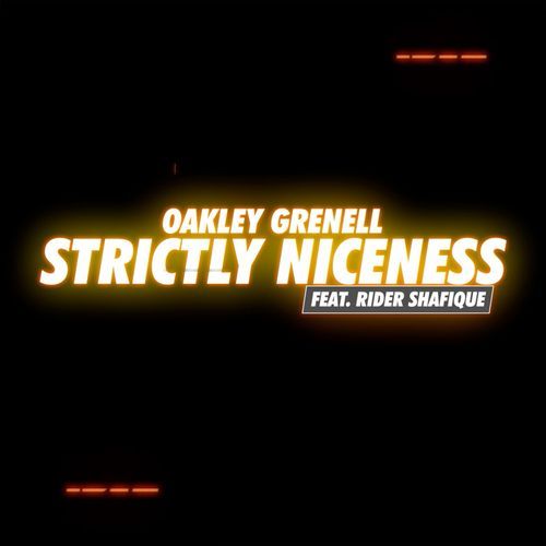 Strictly Niceness_poster_image