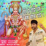 Tari Do Jandi Dham Me Baba Mahima Thadi R